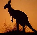 kanga.jpg (4782 bytes)