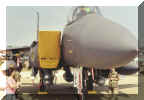 F-15.jpg (988459 bytes)