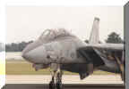 F-14 Taxing2.jpg (612425 bytes)