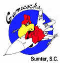 Sumter Gamecocks website
