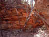 Alligator_Gorge3.jpg (41023 bytes)