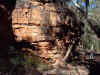 Alligator_Gorge4.jpg (46530 bytes)