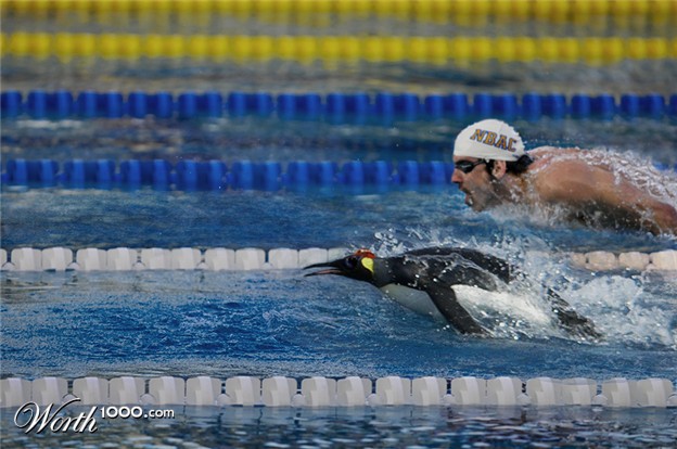 Swimming4