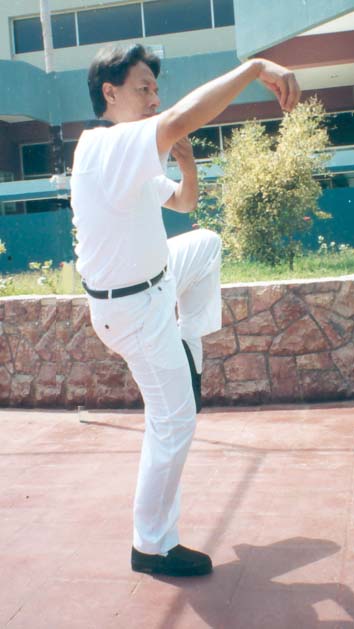 GRUL.jpg (37139 bytes)