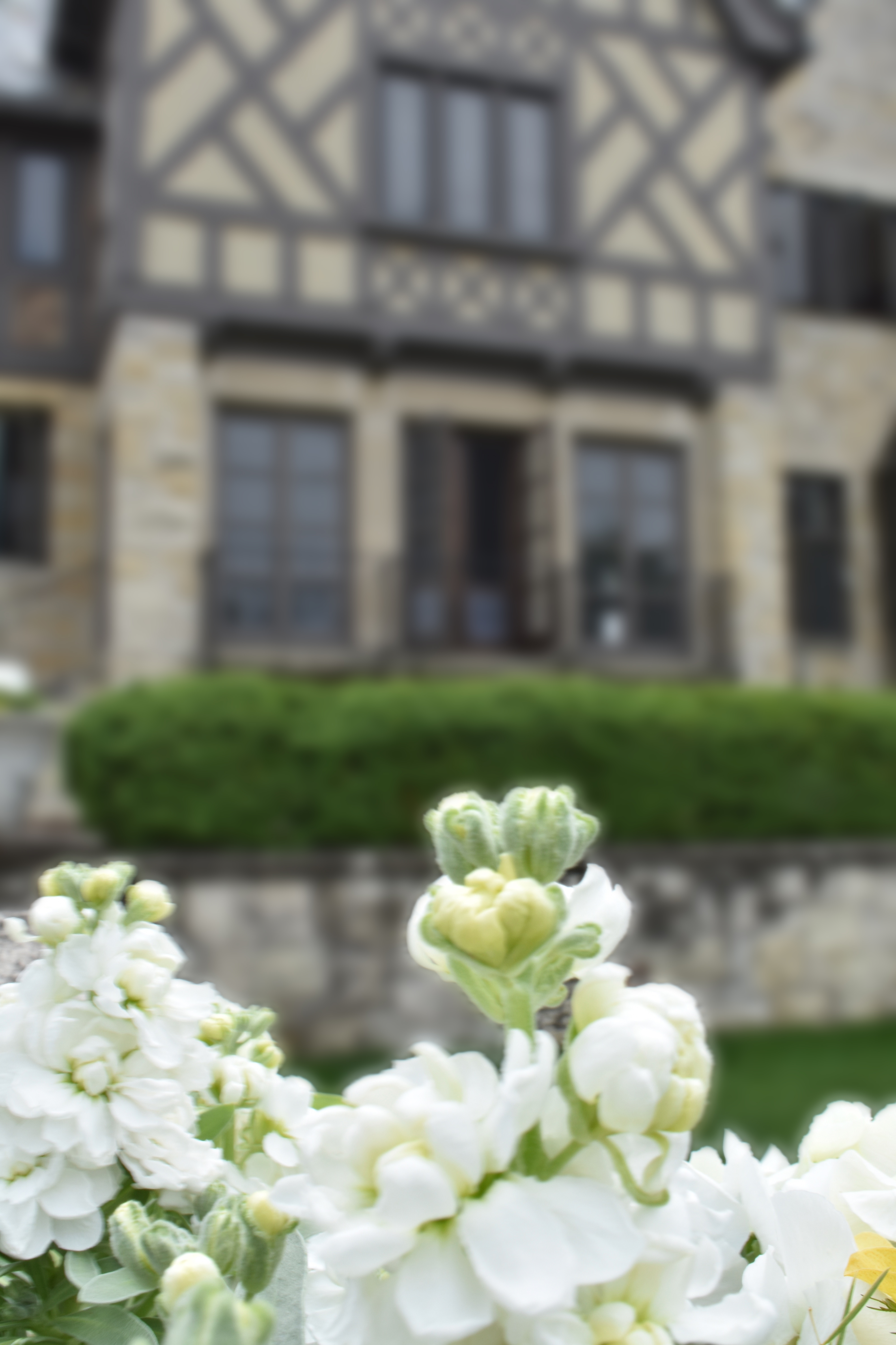 ewing-manor-24.jpg