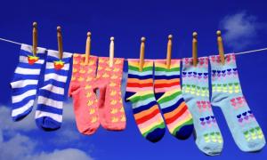袜业服装业管理方案 