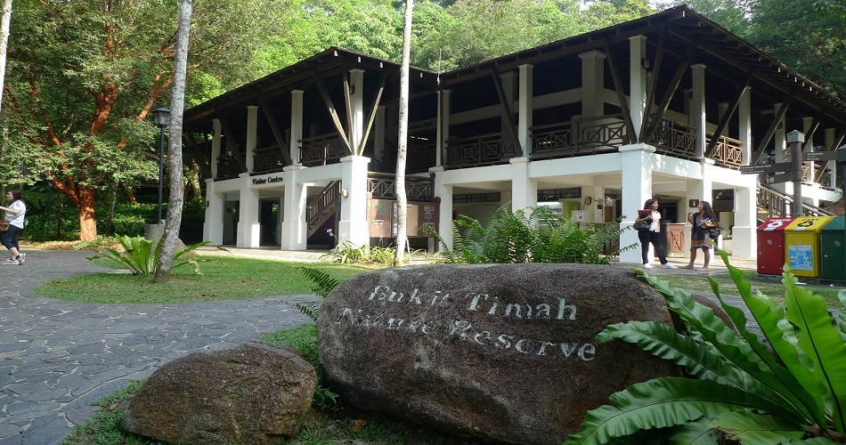 Bukit Timah Nature Reserve