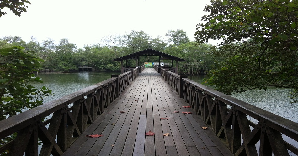 Sungei Buloh 