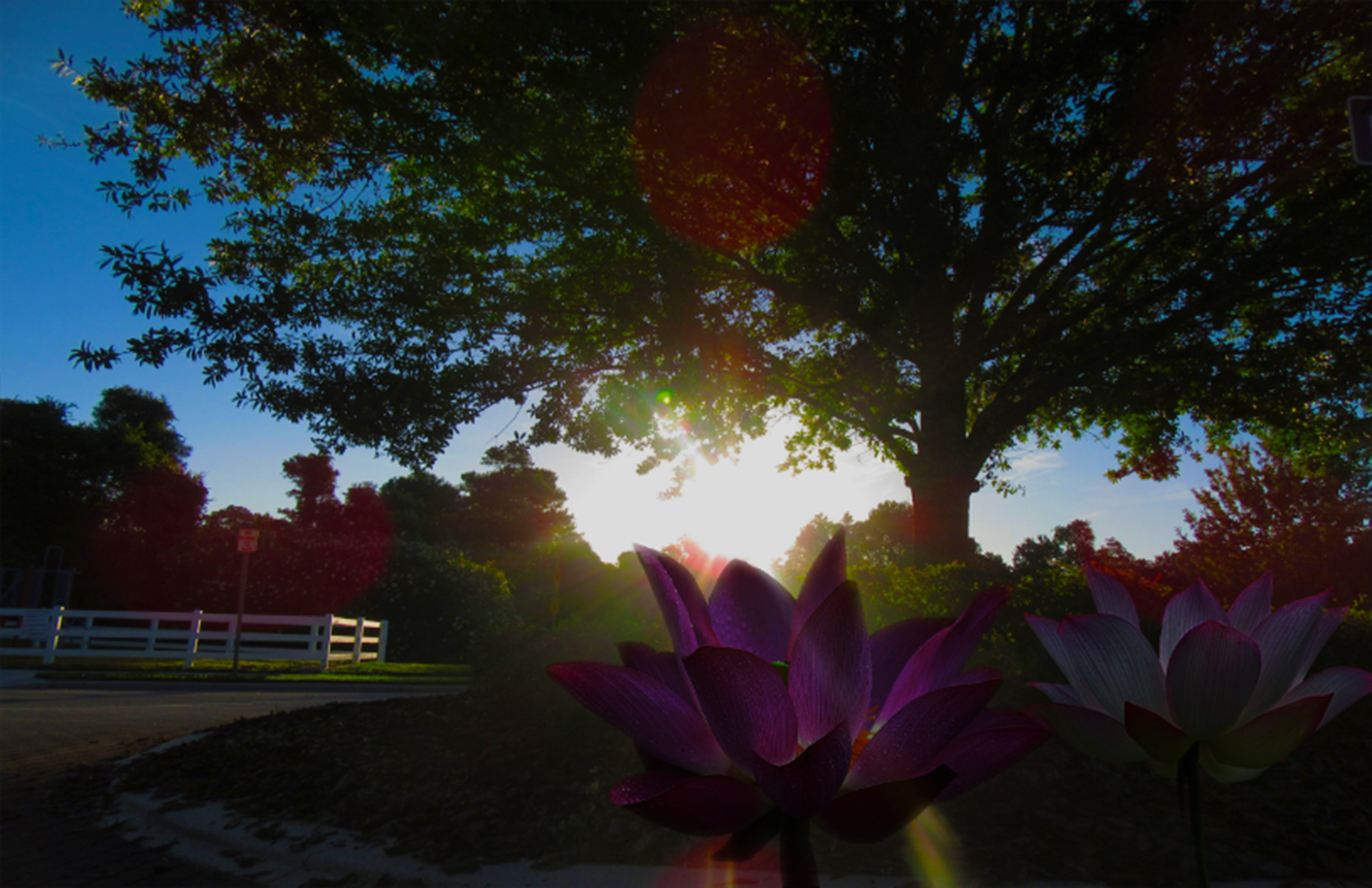 Bootstrap Thumbnail Third
