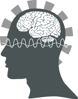 Brain