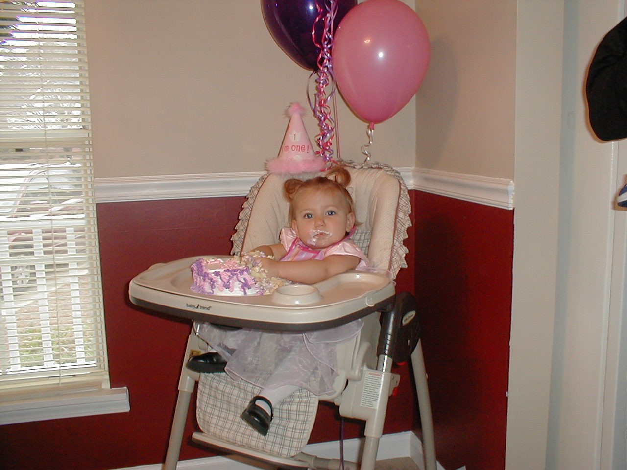 Ella First Birthday