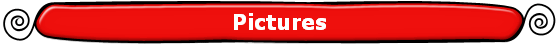 Pictures