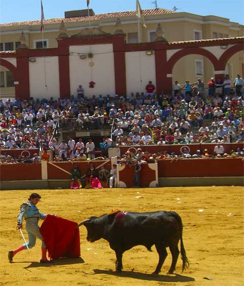 Foto a�rea de Tajueco