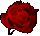 :: Aprenda a Cuidar de suas Flores ::