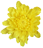 Cesta de Caf� da Manh� N�mero 6
