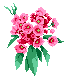 Bouquets e Cestas de Rosas da Takeo Floricultura