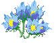 Arranjos e Cestas de Violetas da Takeo Floricultura