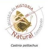 MUSEO DE HISTORIA NATURAL DE CONCEPCION