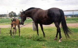 Cindy with Rhiannon only a few hours old