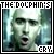 dolphin's cry [live]
