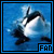 orcas