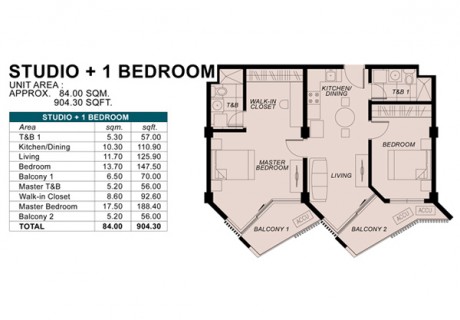 Studio + 1 Bedroom Unit
