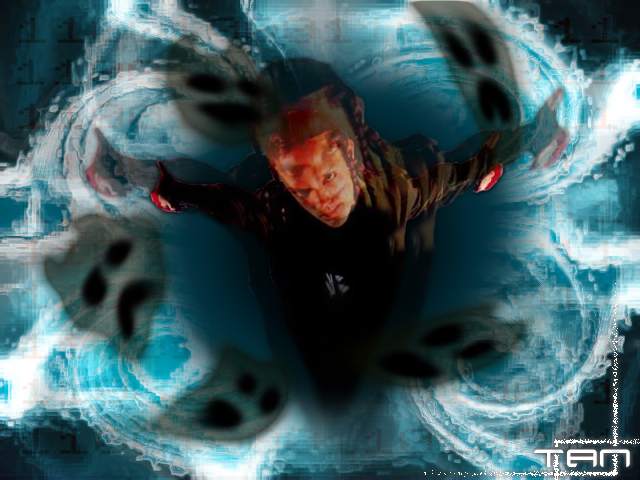 Phantoms