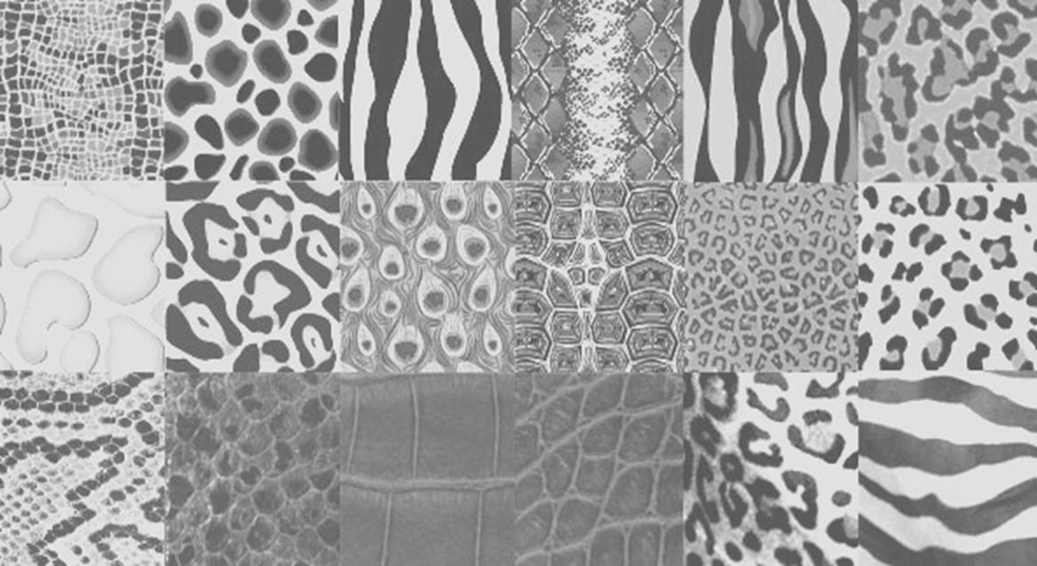 animalprintcollage[1]