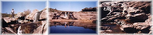 Arroyo Toro Muerto