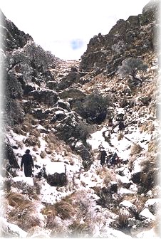 lgnieve04.jpg (40558 bytes)