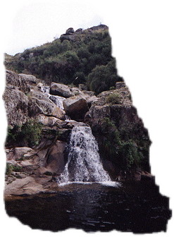 Cascada