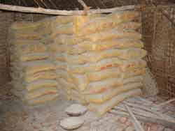 Tantra Temple, Tantra College project