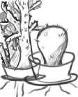 b/w cactus