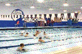 FP POOL
