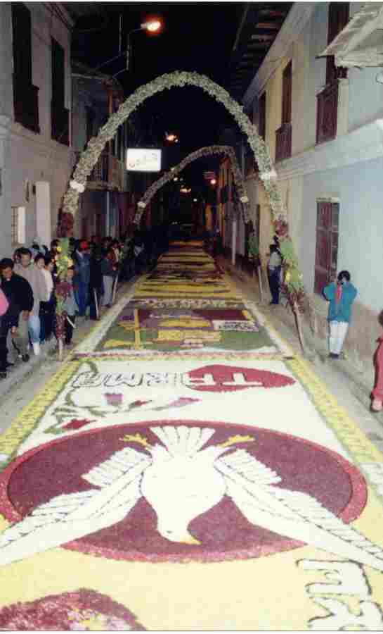 Alfombra m�s Grande del Mundo - Record Guinnes