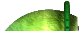 neo_oxide_off_clr1x2.gif