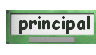 horizontal_lightsgreen_clr0011x1.gif