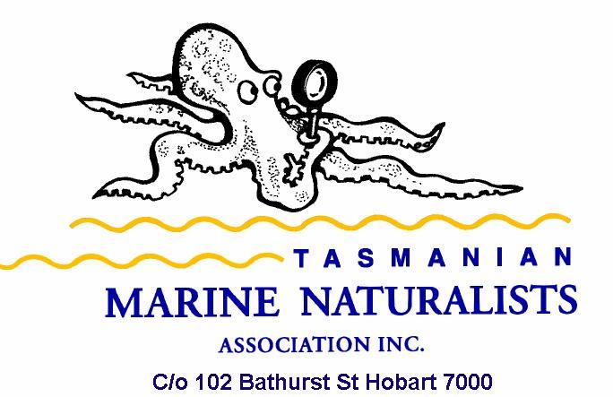 TMNA logo