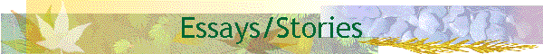 Essays/Stories