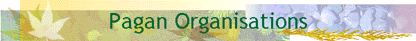 Pagan Organisations