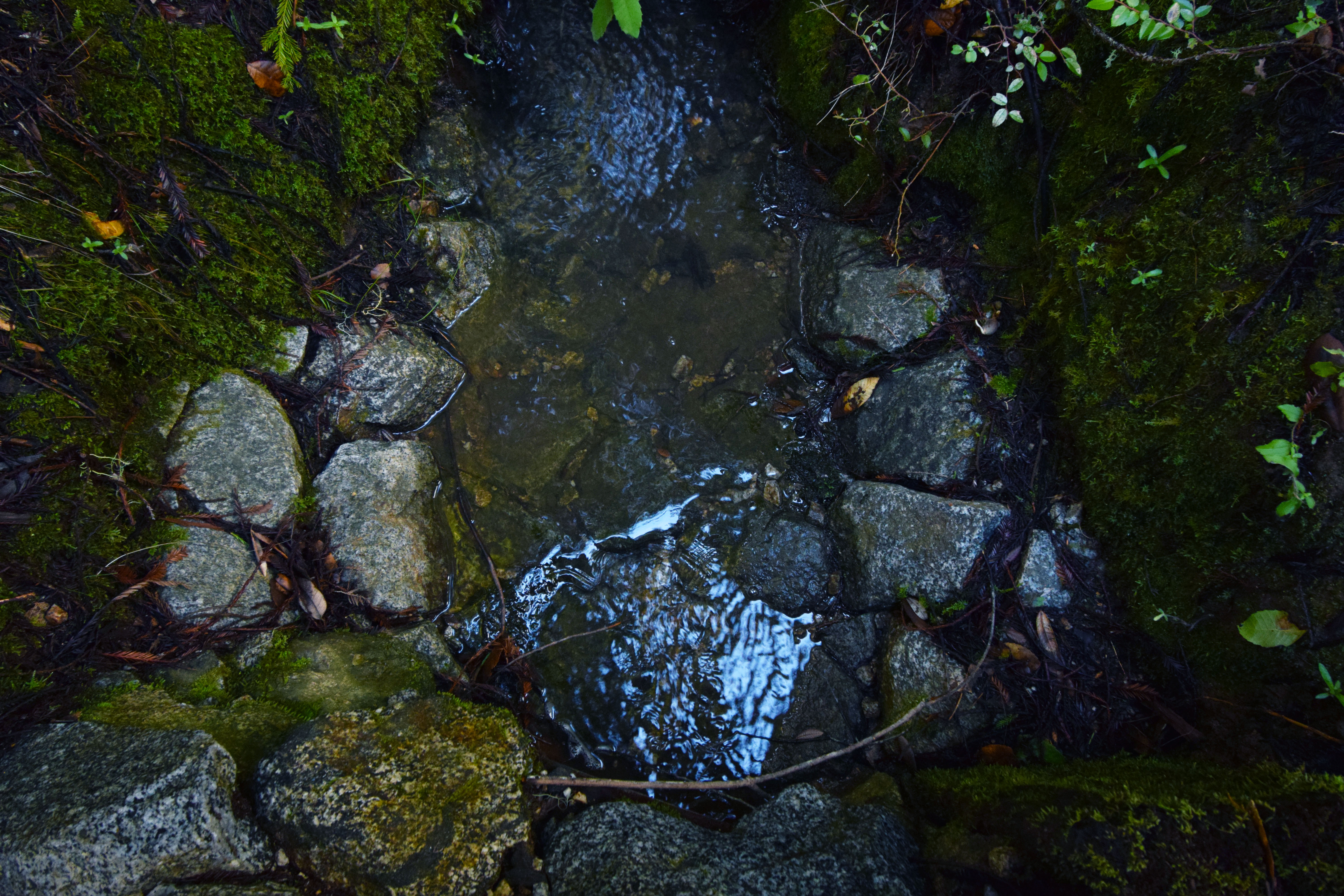 stream