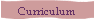 Curriculum