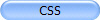 CSS