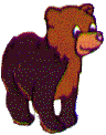 bear