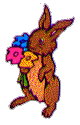 bunny
