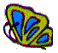butterfly