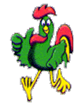 rooster