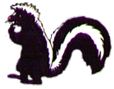 skunk