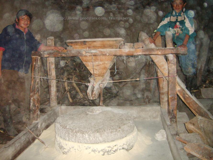 Molino