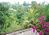 view from the hotel